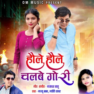 Listen to Hole Hole Chalbe Gori song with lyrics from Gajju Baba