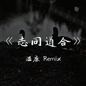 收聽溫鹿的TONES AND DANCE MONKEY (溫鹿 Remix)歌詞歌曲