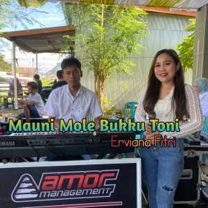 Dengarkan Mauni Mole Bukku Toni lagu dari Erviana Fitri dengan lirik
