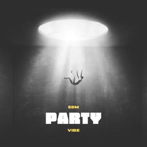 Album EDM Party Vibe oleh Group Star