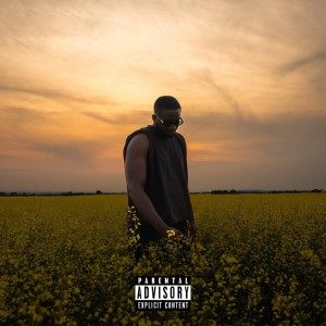 Dozie的專輯Hidden Jewel (Explicit)