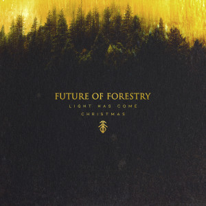 ดาวน์โหลดและฟังเพลง What Beauty พร้อมเนื้อเพลงจาก Future of Forestry