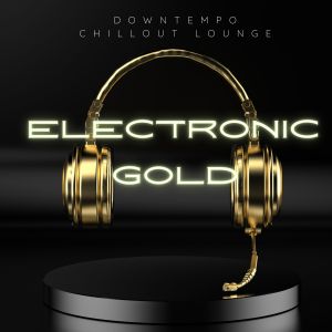 收听Elektroschall的Dinner For One (Ibiza Downbeat Mix)歌词歌曲