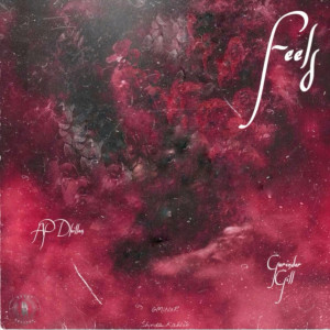 收聽AP Dhillon的Feels歌詞歌曲