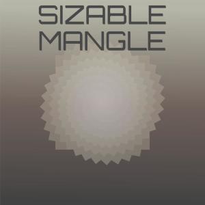 Various Artists的專輯Sizable Mangle