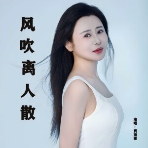 Album 风吹离人散 from 肖雨蒙