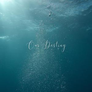 ดาวน์โหลดและฟังเพลง Our Destiny พร้อมเนื้อเพลงจาก For You