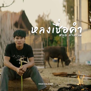 Listen to หลงเชื่อคำ song with lyrics from YOUD SALAVAN