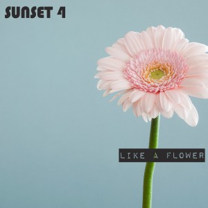Album Like a Flower oleh Sunset 4
