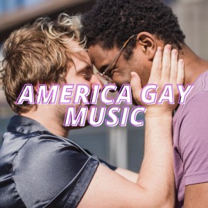 Various Artists的专辑America Gay Music
