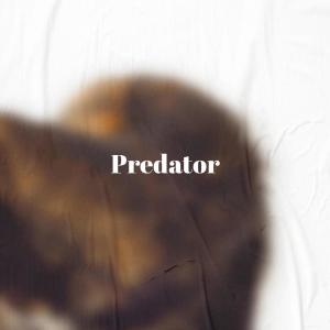Album Predator oleh Various