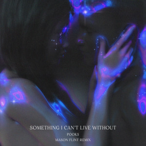 Album Something I Can't Live Without (Mason Flint Remix) oleh Pooks