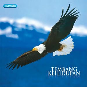 Listen to Ya Tuhan Kupercaya song with lyrics from Priskila