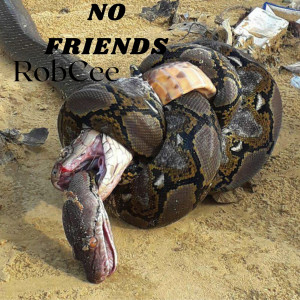 Listen to No Friends (Explicit) song with lyrics from Robcee