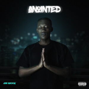 Listen to Vein (Explicit) song with lyrics from Juni Quickly