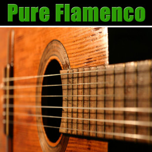 Pure Flamenco