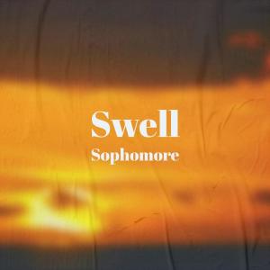 Various的专辑Swell Sophomore