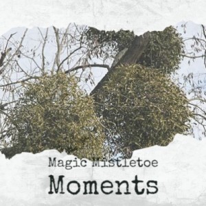 Various的专辑Magic Mistletoe Moments