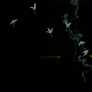 ดาวน์โหลดและฟังเพลง Paper Planes (Explicit) พร้อมเนื้อเพลงจาก sincerlyjvzh
