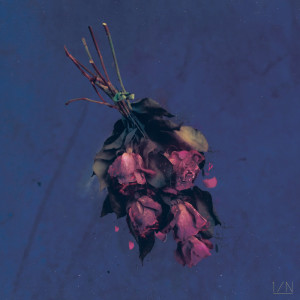 收聽엔분의일的A Bloom At Midnight歌詞歌曲