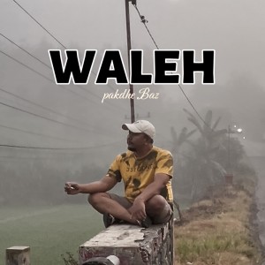 Pakdhe Baz的專輯Waleh