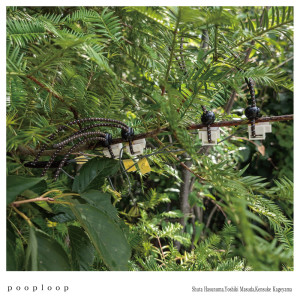 Listen to Feedback "variation" & Sheet Vibration song with lyrics from 蓮沼執太