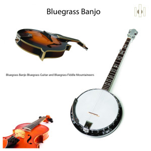 ดาวน์โหลดและฟังเพลง Bluegrass Waltz พร้อมเนื้อเพลงจาก Bluegrass Banjo Mountaineers