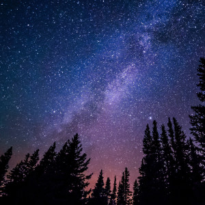 Listen to Sweet Honey song with lyrics from Deep Sleep