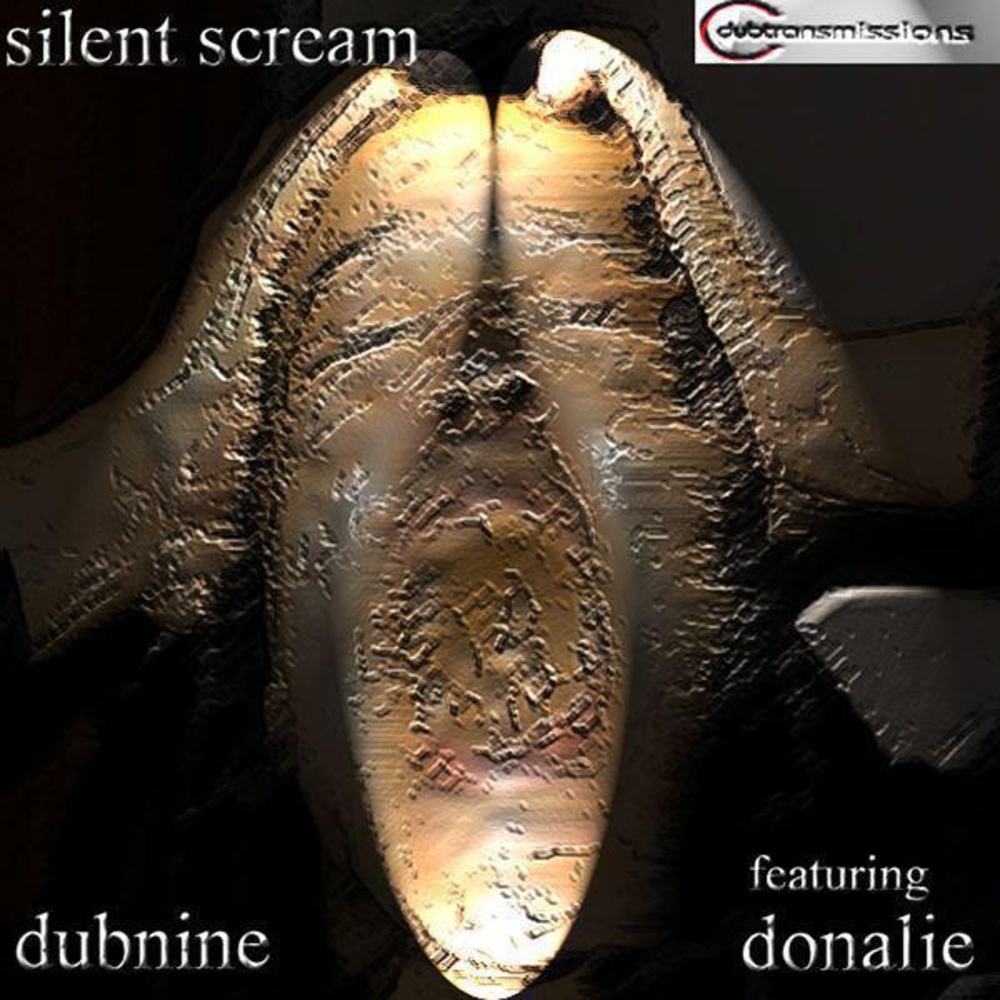 Silent Scream (Quake Remix)