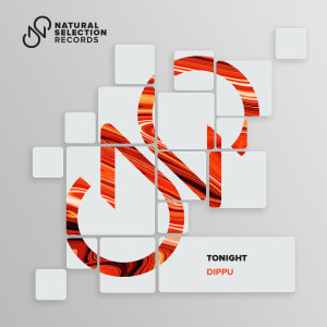 收聽Dippu的Tonight (Radio Edit)歌詞歌曲