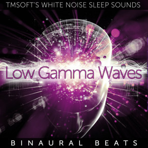 Low Gamma Waves Binaural Beats dari Tmsoft's White Noise Sleep Sounds
