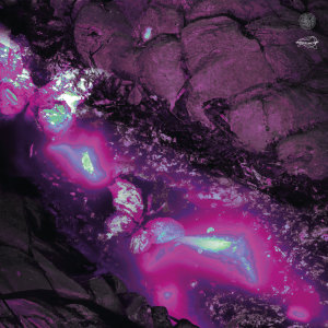 收聽Iscariott的Innocuous Alterations歌詞歌曲