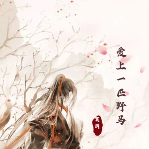 Album 爱上一匹野马 from 冥玥