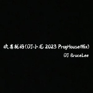 欢喜就好(DJ小龙 2023 ProgHouseMix) dari 小龙Music