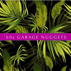 Various的專輯'60s Garage Nuggets