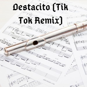 Dengarkan lagu Despacito Remix nyanyian Dj Viral TikToker dengan lirik