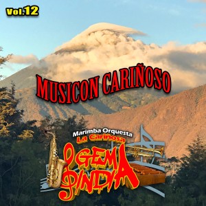 收聽Marimba Orquesta La Cariñosa Gema India的Mix de Gaytas 3: La Hormiguita / La Cocaleca / El Negrito del Batey / El Pájaro Picón歌詞歌曲