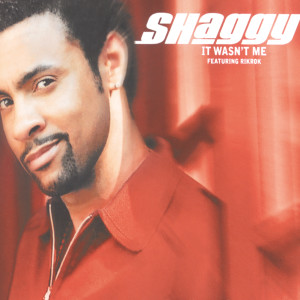 ดาวน์โหลดและฟังเพลง It Wasn't Me (Radio Edit) พร้อมเนื้อเพลงจาก Shaggy