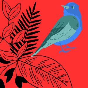 Dengarkan Suara Burung Cucak Cungkok lagu dari Severinus Journey dengan lirik