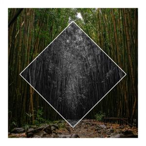 KV Music的專輯Bamboo Forest