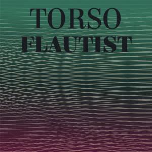 Torso Flautist dari Various