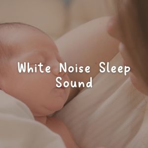 Sounds of Nature White Noise Sound Effects的专辑White Noise Sleep Sound