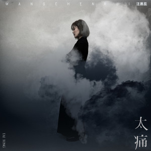Listen to 太痛 song with lyrics from 汪晨蕊