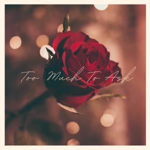 收聽Mervin Redmond Jr的Too Much To Ask (feat. Messenger & Piper Stringz)歌詞歌曲