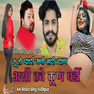 收听Vijay Rawat Diver的Tu To Pyari Ghani Mari Byan Asi Tane Kun Ghadi歌词歌曲