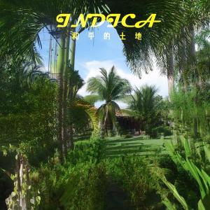 อัลบัม Indica ศิลปิน 랜드오브피스