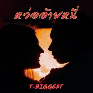 ดาวน์โหลดและฟังเพลง หว่ออ้ายหนี่ พร้อมเนื้อเพลงจาก T-BIGGEST