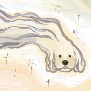 Album 멍 (Feat. 이승아) (bow-wow) from LO HAVI