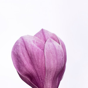 Dengarkan lagu Take the Good nyanyian Nature Sounds dengan lirik