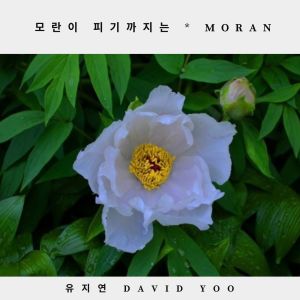 Listen to 모란이 피기까지는 (Inst.) (Instrumental) song with lyrics from 유지연